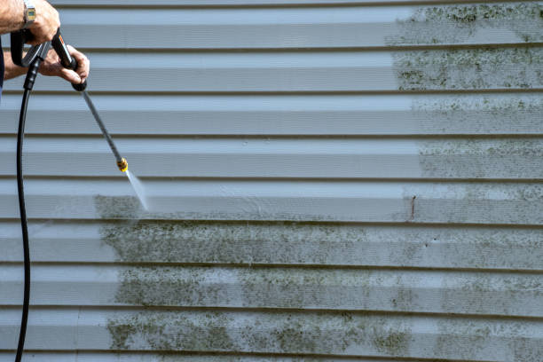 Best Carpet Removal and Disposal  in Suffern, NY